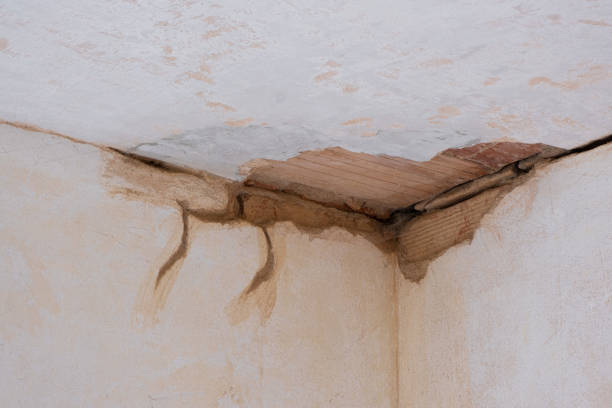 Best Flooded house restoration  in Briarcliff, TX