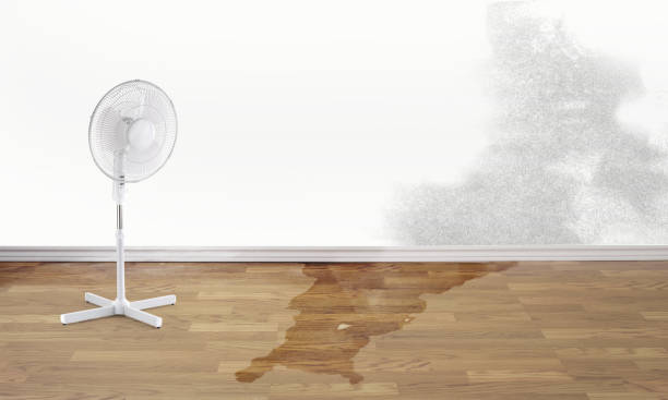 Best Fire Damage Restoration  in Briarcliff, TX
