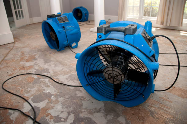 Best Local water damage restoration  in Briarcliff, TX