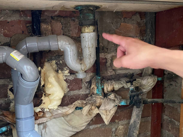 Best Water damage cleanup near me  in Briarcliff, TX