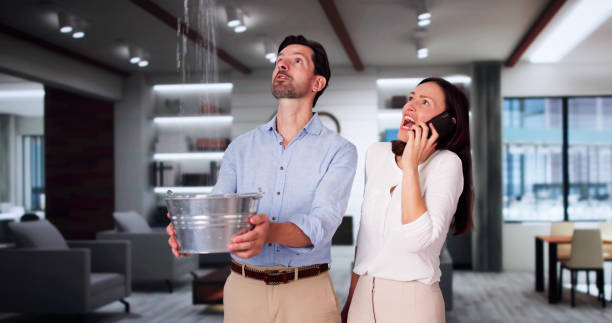 Best Mold removal after water damage  in Briarcliff, TX